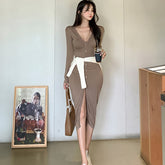 leapord halloween outfit Women's Slim-Fit Low-Cut Dress with Long Sleeves Dress