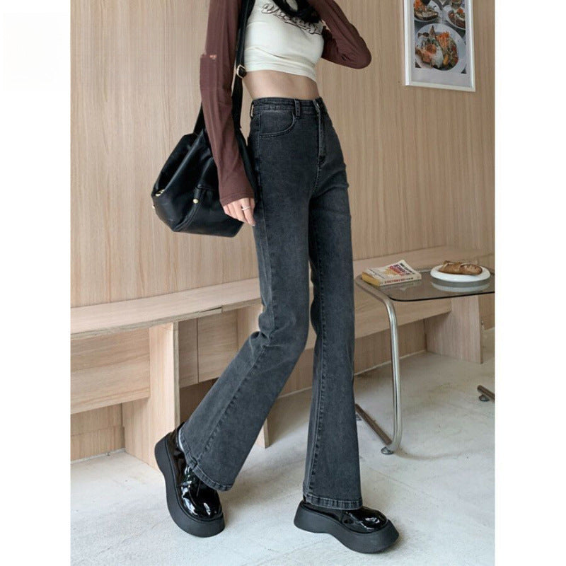 outfit inspo Gray Micro Flared Jeans Women's Fashion All-Match Thin New High Waist Stretch Slim Slimming Horseshoe Long Pants