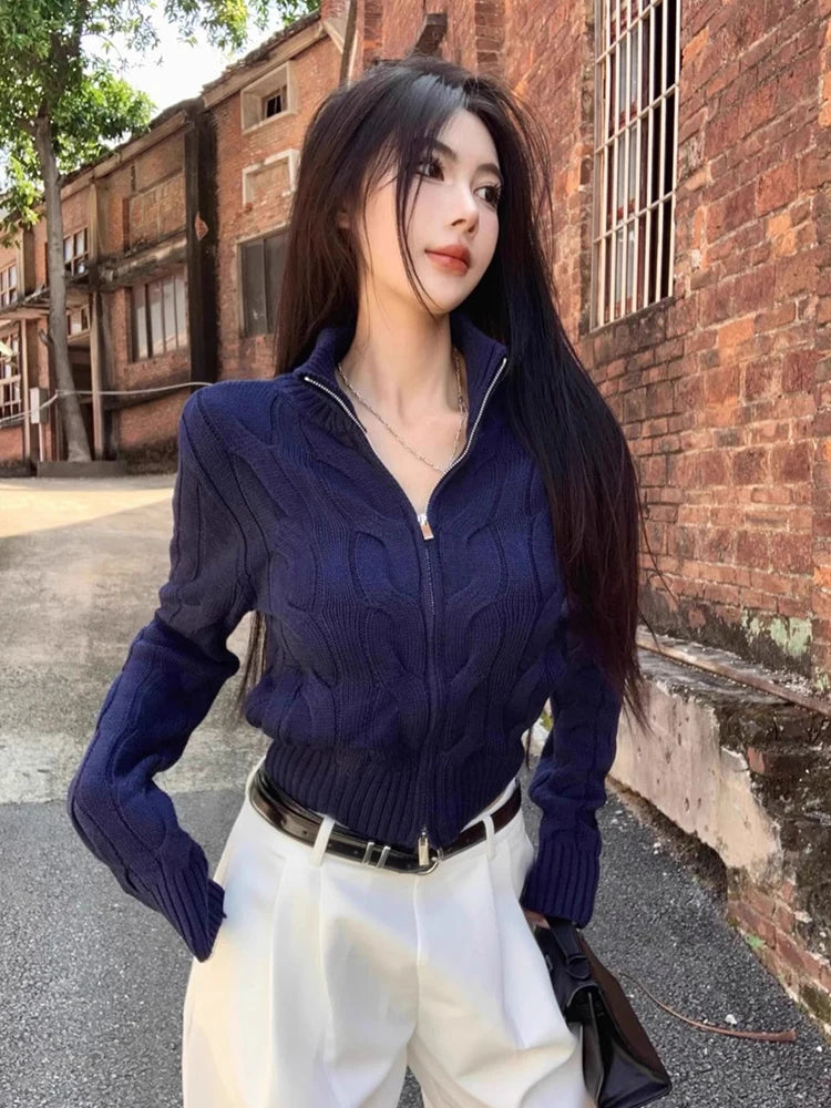 Bxoxo Vintage Turtleneck Zipper Cardigan for Women Autumn Loose Long Sleeves Knitted Sweaters Y2K Ladies Soft All Match Jumpers