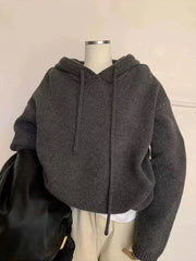 Bxoxo Autumn Knitted Hoodie for Women Korean Loose Thick Warm Casual Sweatshirt Bf Solid Simple Basic All Match Pullover Sweater New