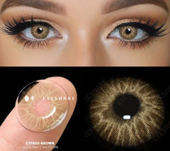 BXOXO Coloured Contact Lenses for Eyes 1pair Gray Pupils Lens Blue Eye Lenses Green Lens Yearly Brown Contacts Cosmetic Lens