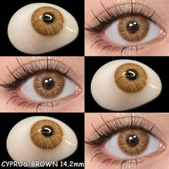 BXOXO 2pcs New Colored Contacts Lenses Natural Blue Lense Brown Eye Contacts Lenses Yearly Use Fashion Lenses Beauty Pupils