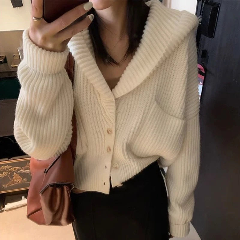 Bxoxo Women's Hooded Cardigan Button Up with Pocket Knitted Sweater Hoodie Slouchy Knitwear Fall Winter Casual Chic Outfit