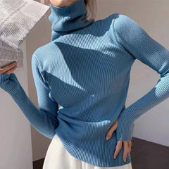 BXOXO Women Thicken Turtleneck Warm Sweater Thermal Cashmere Jumper Long Sleeve Knit Casual Sweater For Women Fall Winter