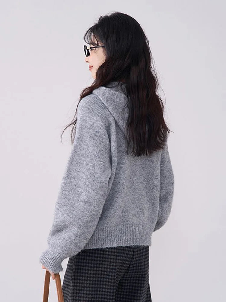 Bxoxo Korean Vintage Gray Sweaters Women Long Sleeve Casual Simple Knitted Hooded Jumper Retro Loose All Match Female Fall Winter Tops