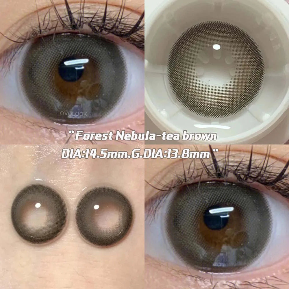 BXOXO 2PCS Brown Lenses Natural Contact Lenses for Eyes Super Beauty Eye Color Lenses Myopia Lenses With Diopters Prescription
