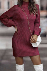 BXOXO - Turtleneck Solid Sweater Dress