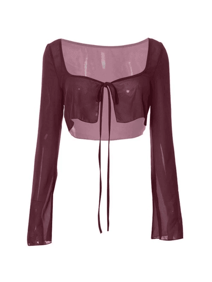 Tie Front Cropped Mesh Long Sleeve Blouse