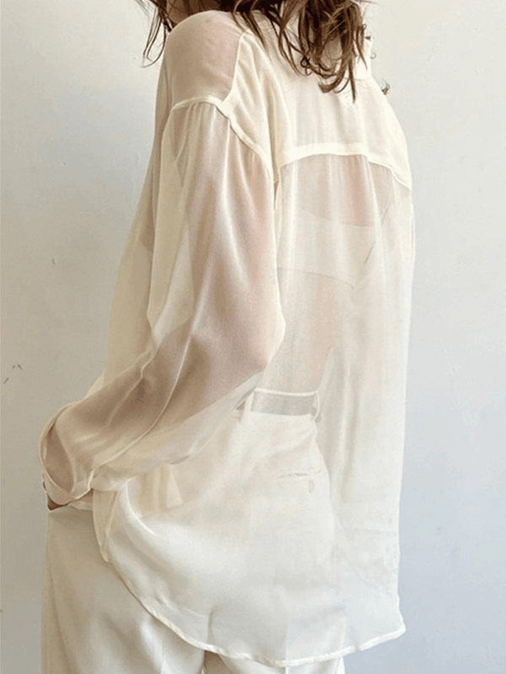 Button Front Semi Sheer Long Sleeve Blouse