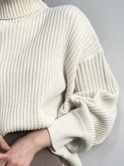 Solid Turtleneck Ribbed Knit Sweater