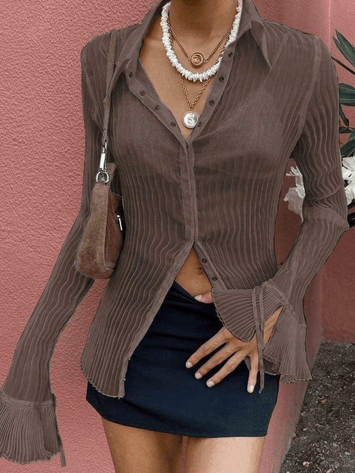 Semi Sheer Long Sleeve Pleated Blouse