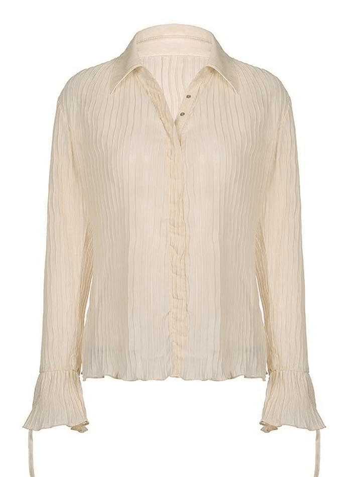 Semi Sheer Long Sleeve Pleated Blouse