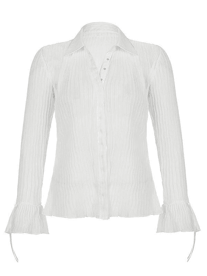 Semi Sheer Long Sleeve Pleated Blouse