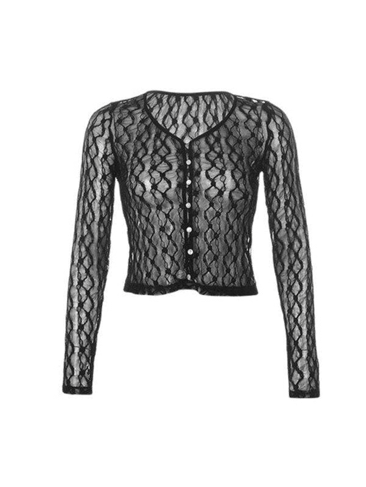 Sheer Lace Long Sleeve Crop Blouse